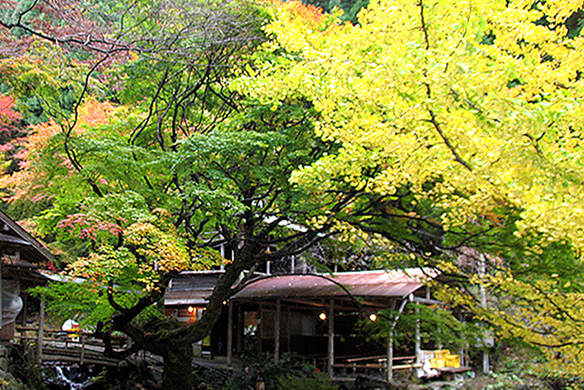 横野滝の紅葉