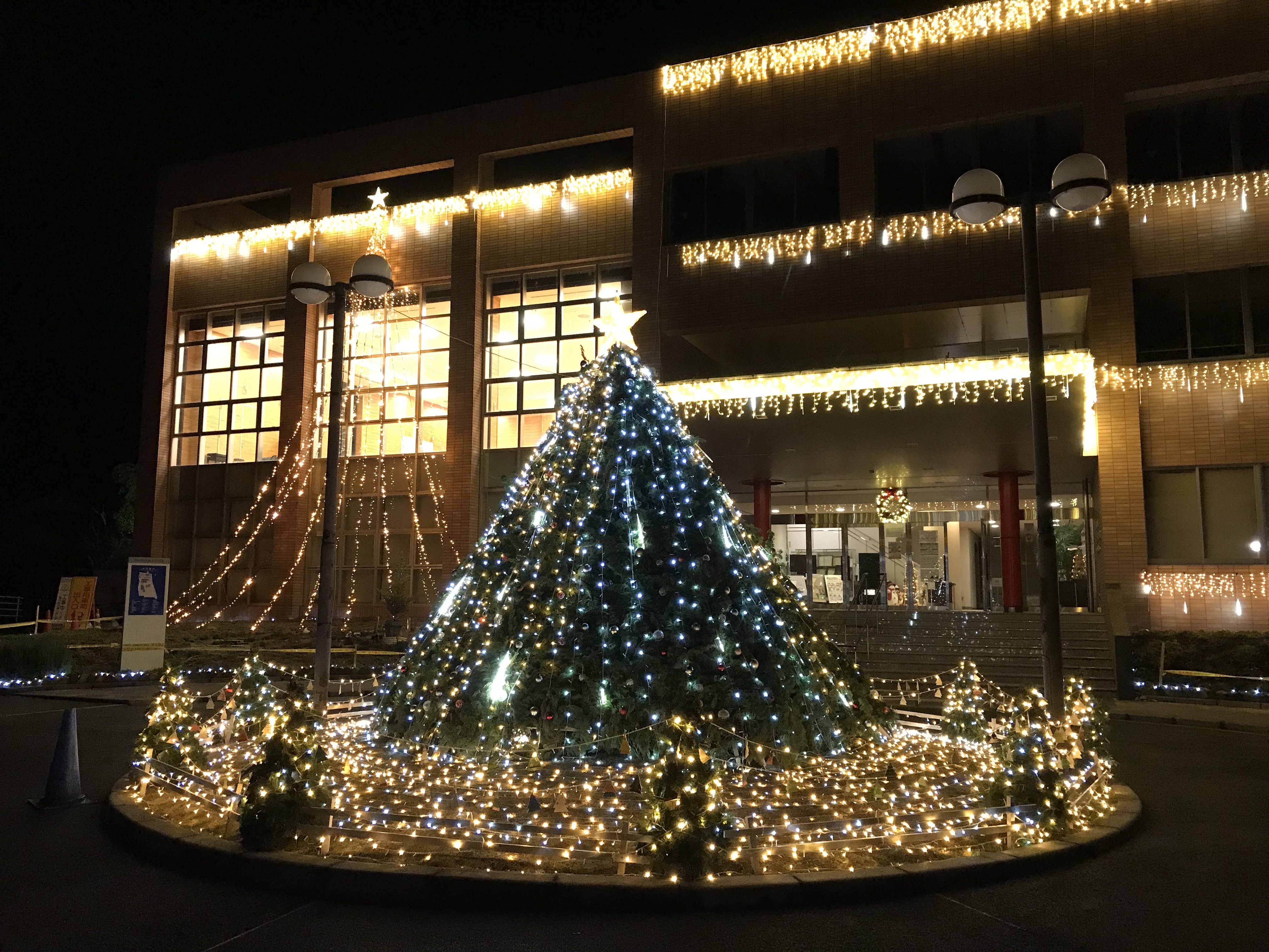 美作大学クリスマスイルミネーション