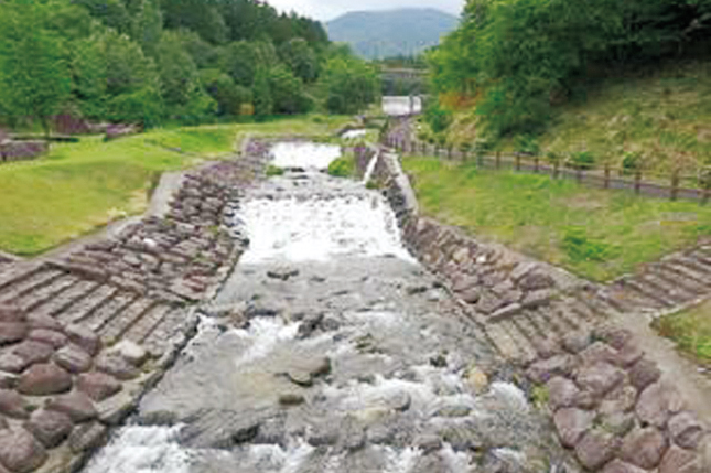 山野草公園