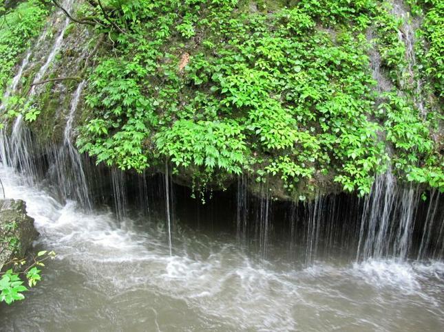 玉垂の滝