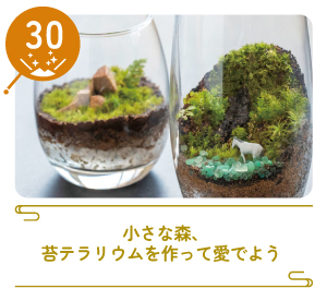 津山まちじゅう体験博