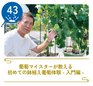 津山まちじゅう体験博