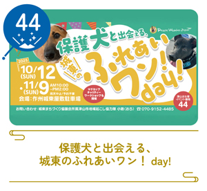 津山まちじゅう体験博