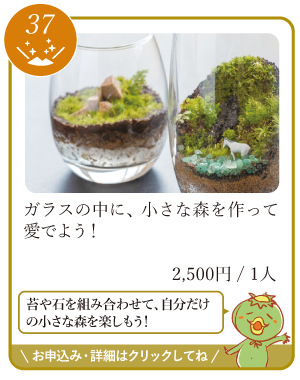 津山まちじゅう体験博