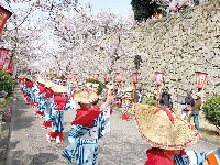 津山さくらまつりイベント