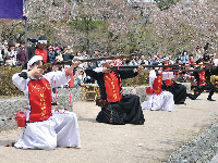 津山さくらまつりイベント