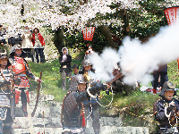 津山さくらまつりイベント