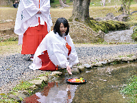 津山さくらまつりイベント