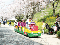 津山さくらまつりイベント