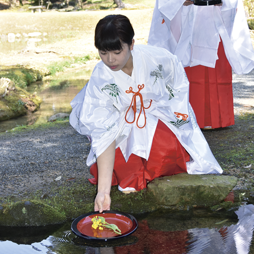 衆楽園のイベント～2018津山さくらまつり～