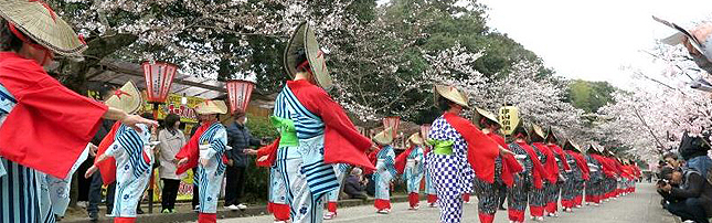 kakuzan_sakuramatsuri.jpg